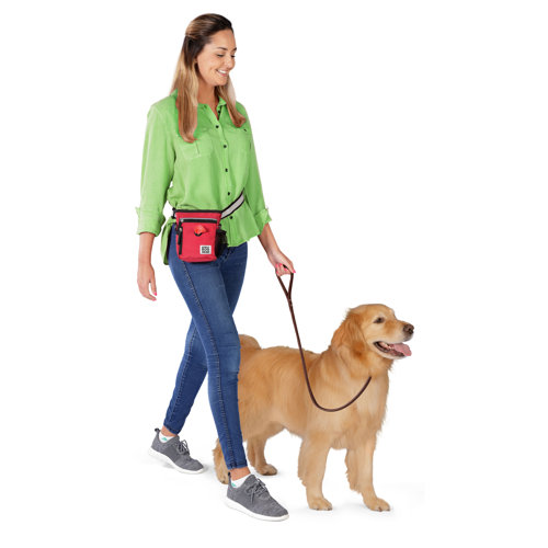 Mobile Dog Gear Day/Night Walking Bag & Reviews Wayfair